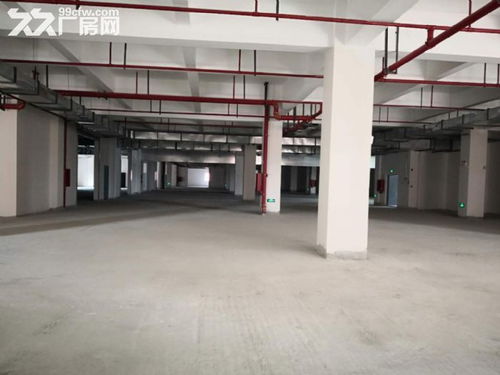 上海新建標準食品產(chǎn)業(yè)園 現(xiàn)代化飼料生產(chǎn)的理想之選